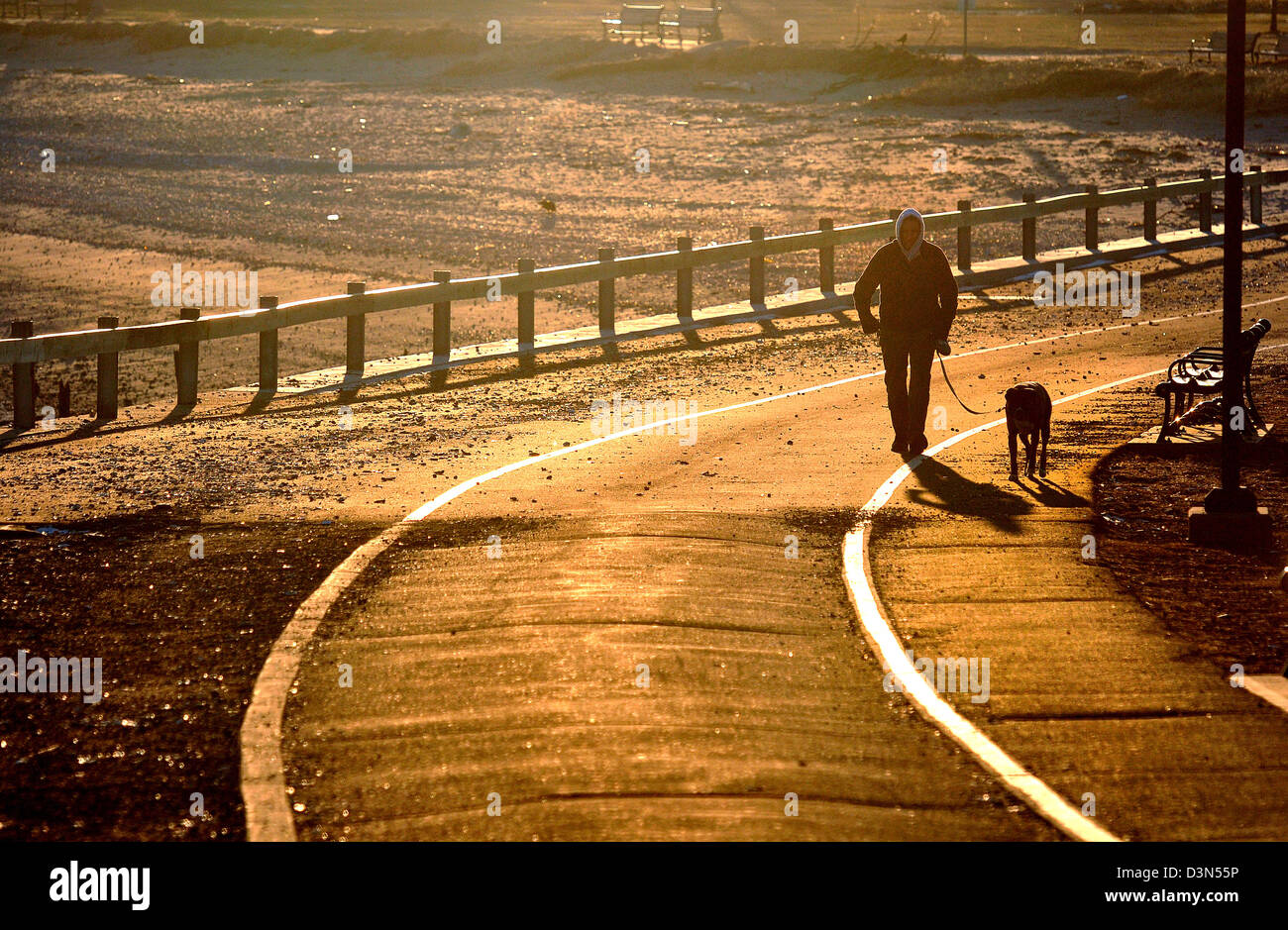 Ein Mann geht seinen Hund in einen goldenen späten Nachmittag Winter Sonnenlicht getaucht Stockfoto