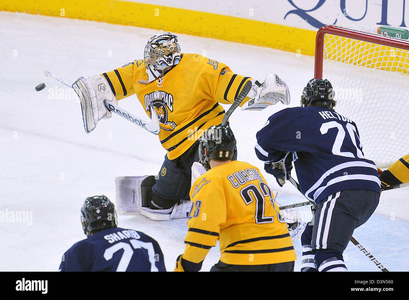 Quinnipiac University Vs UCONN Eishockey Spiel Action. 22.02.2013. Quinnipiac schaffte es auf den nationalen Meisterschaften im Jahr 2013 Stockfoto