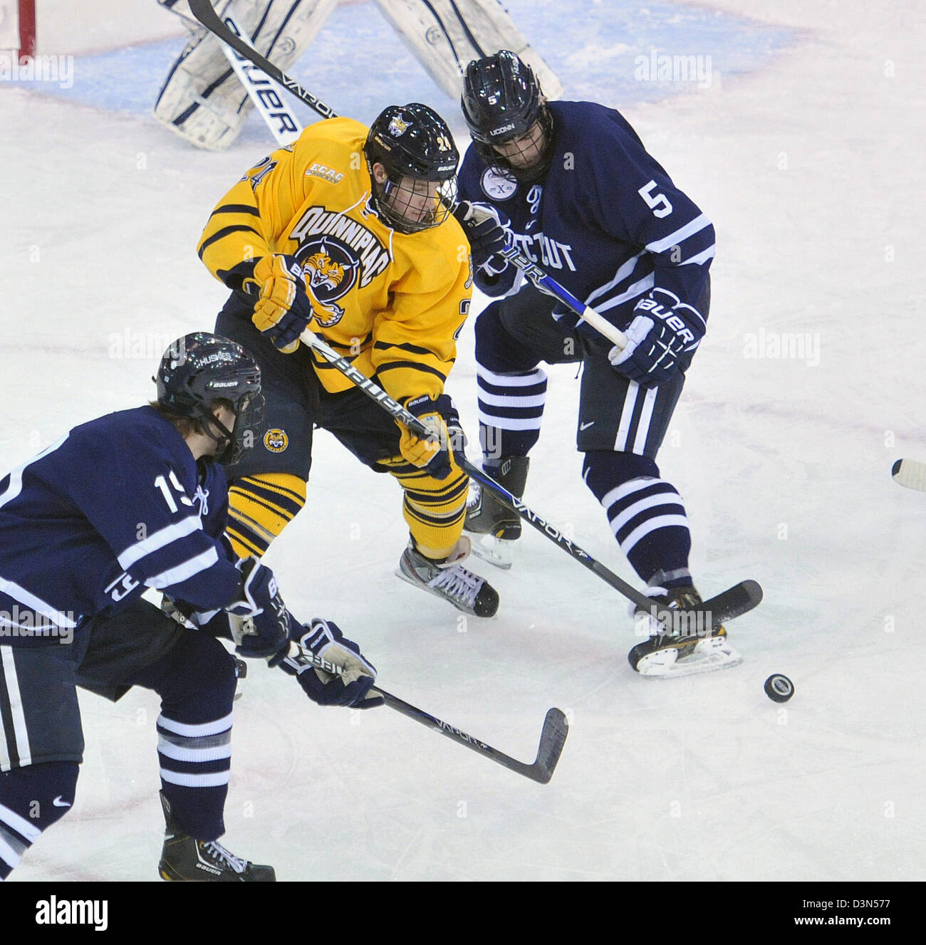 Quinnipiac University Vs UCONN Eishockey Spiel Action. 22.02.2013. Quinnipiac schaffte es auf den nationalen Meisterschaften im Jahr 2013 Stockfoto