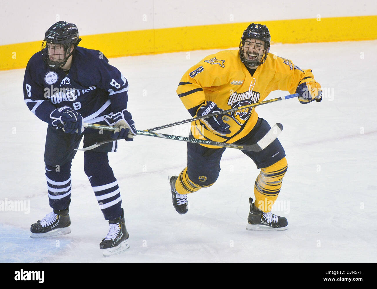 Quinnipiac University Vs UCONN Eishockey Spiel Action. 22.02.2013. Quinnipiac schaffte es auf den nationalen Meisterschaften im Jahr 2013 Stockfoto