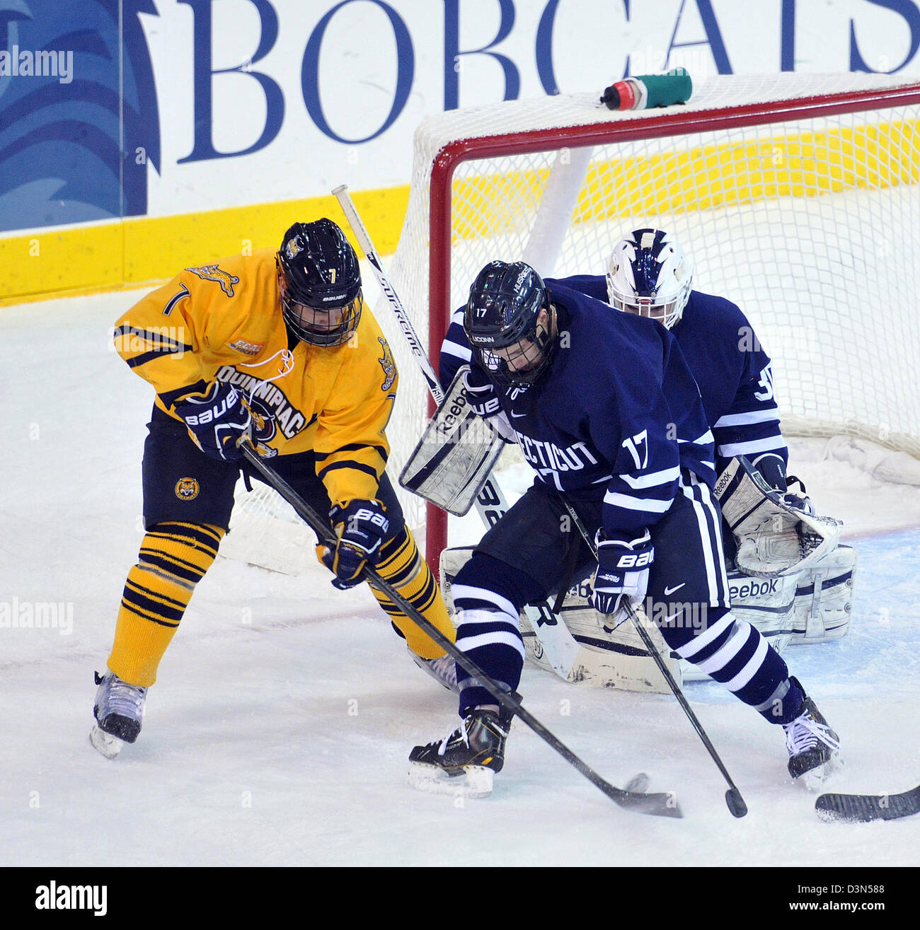 Quinnipiac University Vs UCONN Eishockey Spiel Action. 22.02.2013. Quinnipiac schaffte es auf den nationalen Meisterschaften im Jahr 2013 Stockfoto