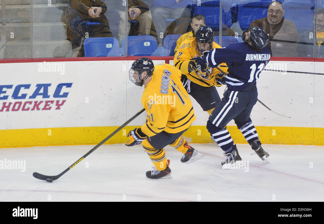 Quinnipiac University Vs UCONN Eishockey Spiel Action. 22.02.2013. Quinnipiac schaffte es auf den nationalen Meisterschaften im Jahr 2013 Stockfoto