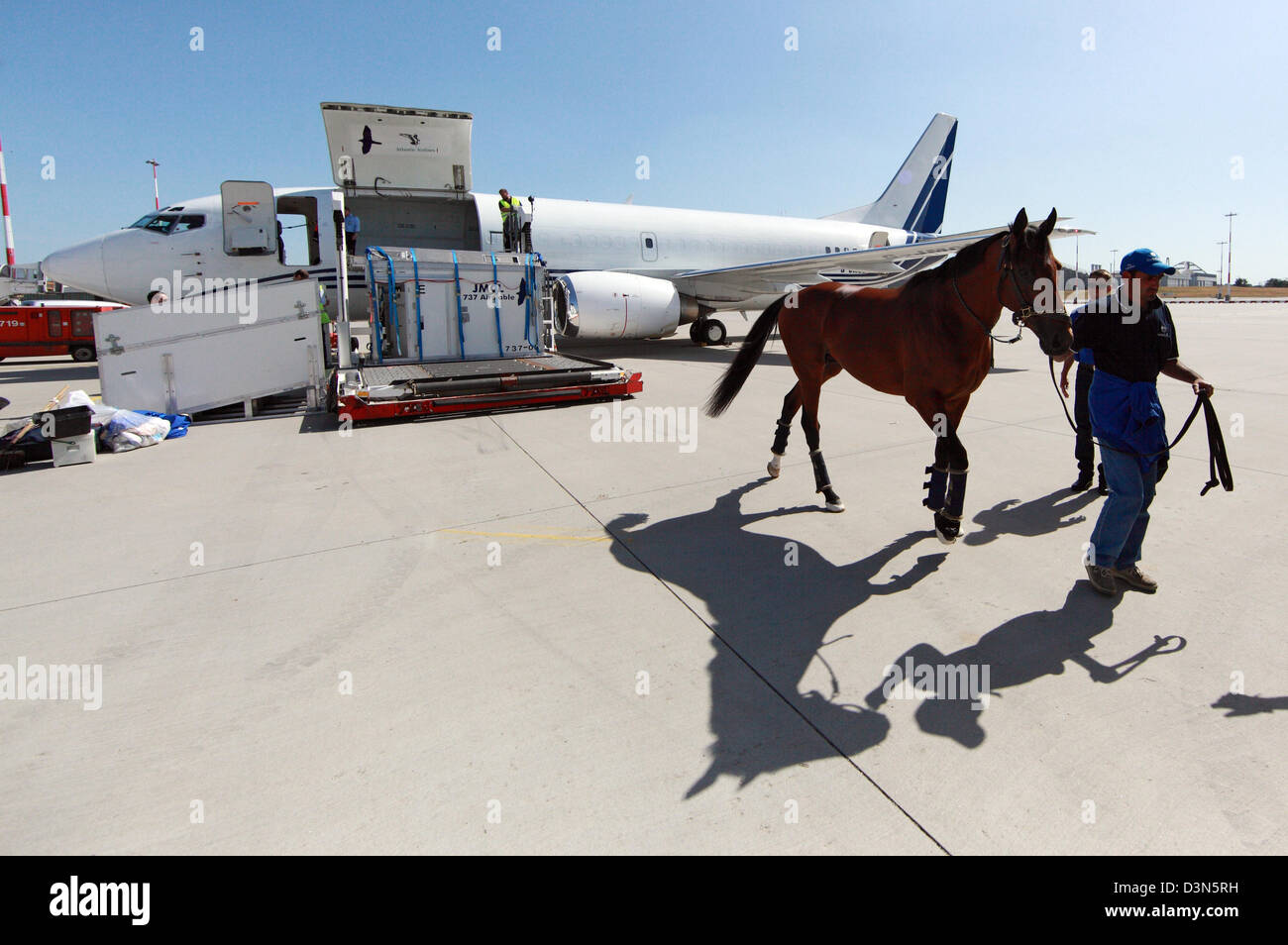 Hamburg, Deutschland, wurde das Pferd von einem Flugzeug entladen Stockfoto