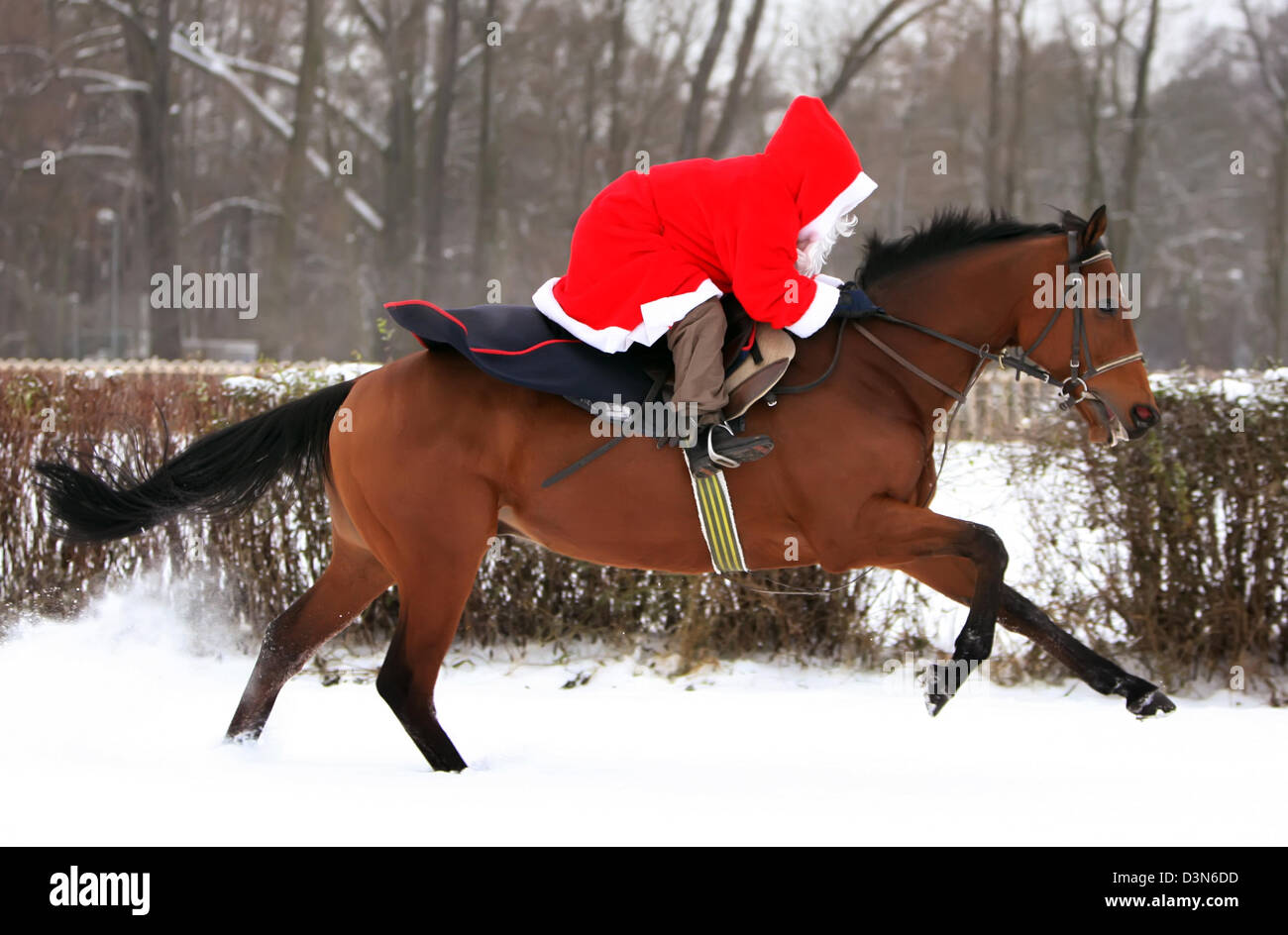 Hoppegarten, Deutschland, Santa Claus, Reiten auf einem Pferd durch den Schnee Stockfoto