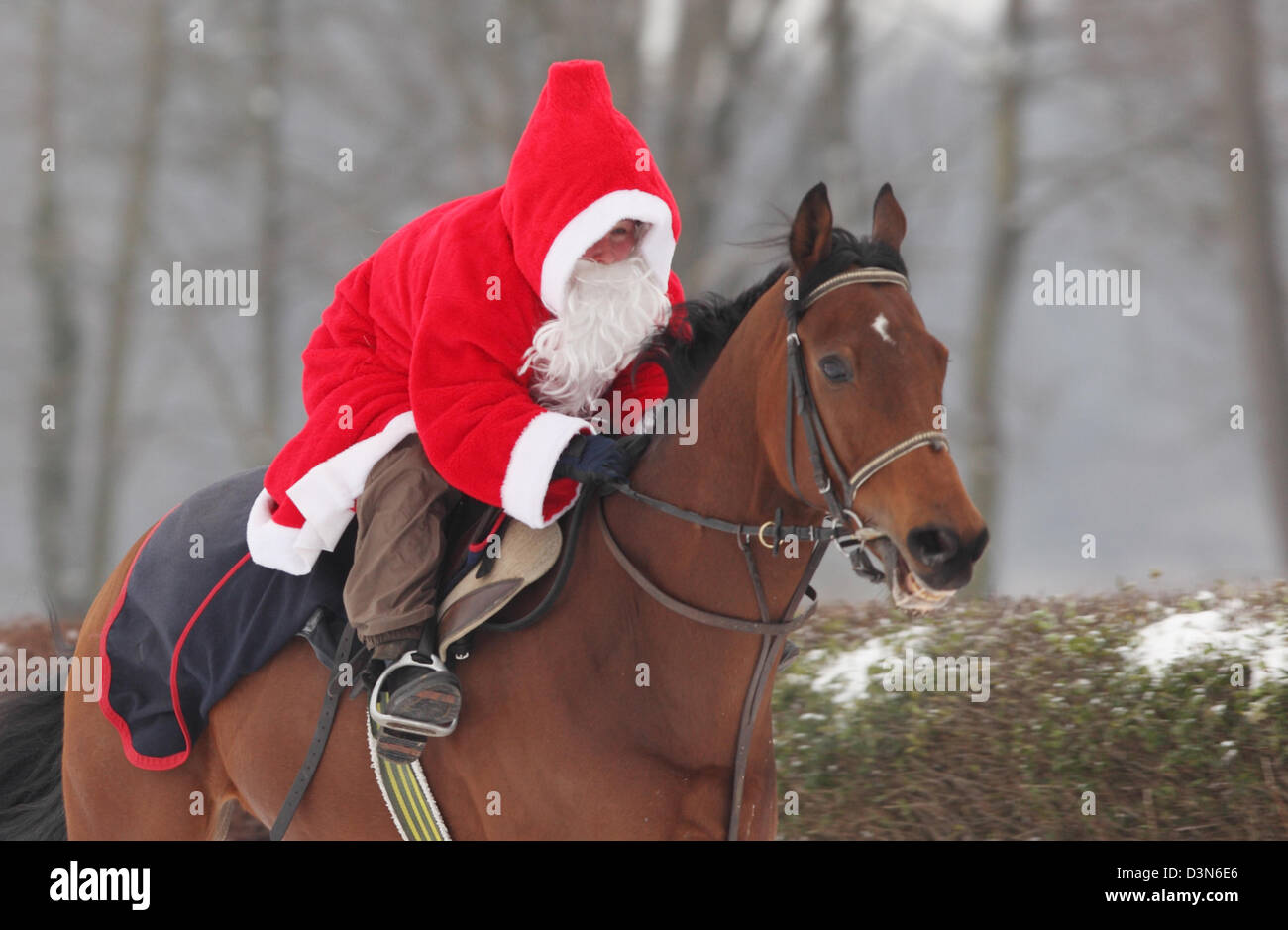Hoppegarten, Deutschland, Santa Claus auf einem Pferd Reiten Stockfoto