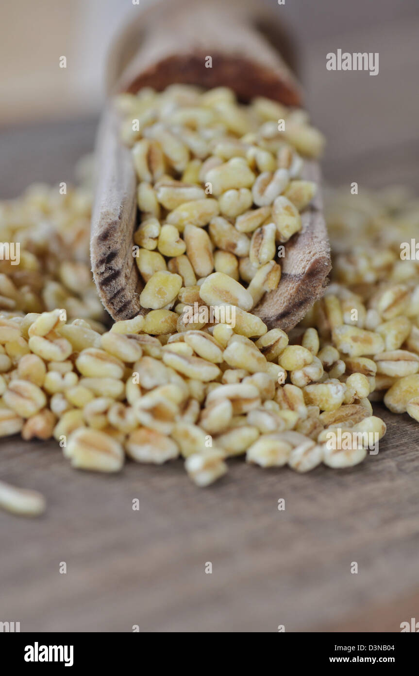 Weizenkörner in einem Löffel auf Holz Hintergrund Stockfoto