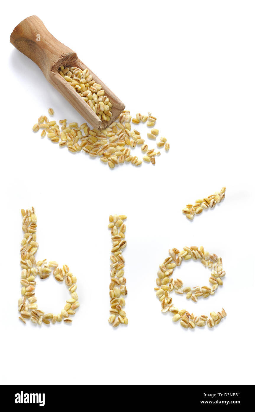 geschrieben in französischer Sprache mit Weizensamen in einen Löffel voll von Weizen Weizen Stockfoto