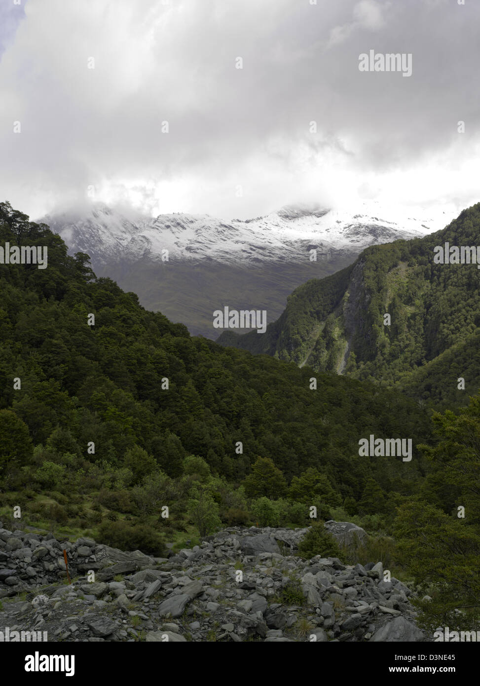 Aussicht auf dem Weg auf dem Rob Roy Gletscher Weg, Mt Aspiring National Park, in der Nähe von Wanaka, Neuseeland Stockfoto