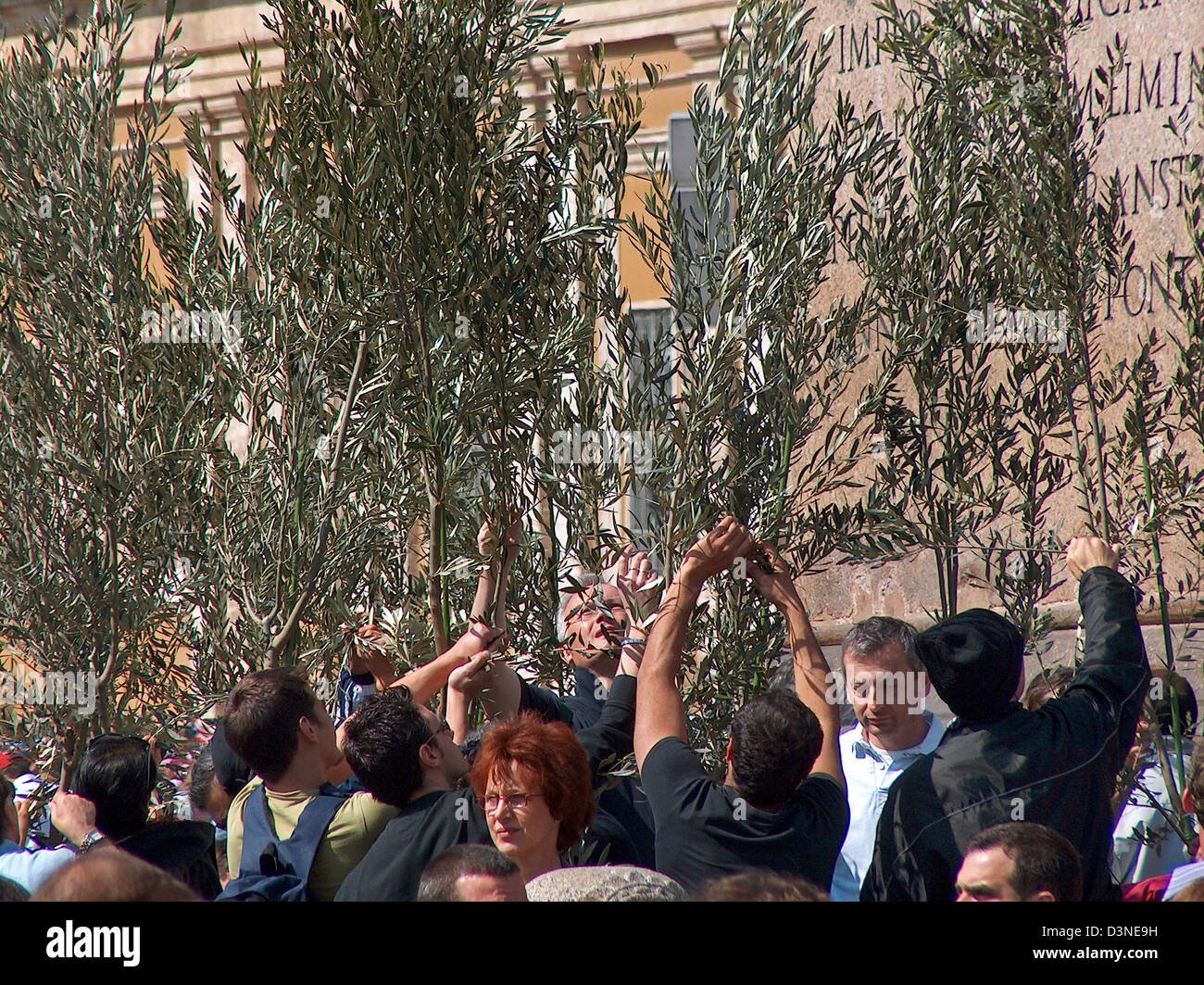 (Dpa - Dateien) Gläubigen brechen Zweige von Bäumen in der Vatikanstadt, Palm Sonntag, 20. März 2005. Die Bäume hatte Papst Johannes Paul II, am 2. April 2005 unter großer öffentlicher wie gestorbenen gesegnet worden. Foto: Lars Halbauer Stockfoto