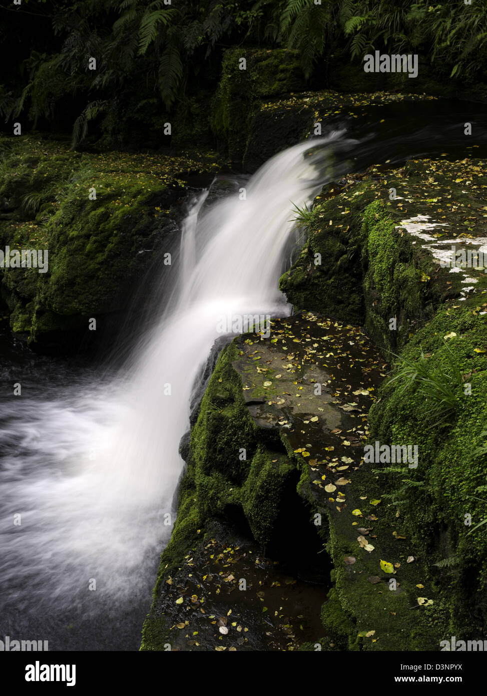 Ansicht von McLean Wasserfälle und die Gegend Fluss, Catlins Forest Clutha, Neuseeland Stockfoto