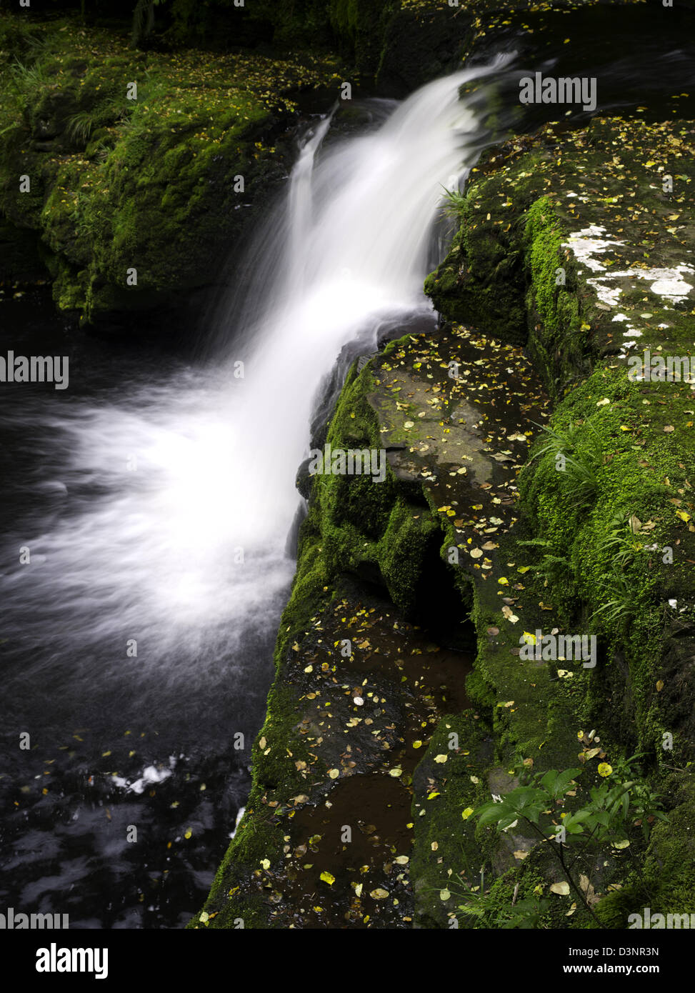 Ansicht von McLean Wasserfälle und die Gegend Fluss, Catlins Forest Clutha, Neuseeland Stockfoto