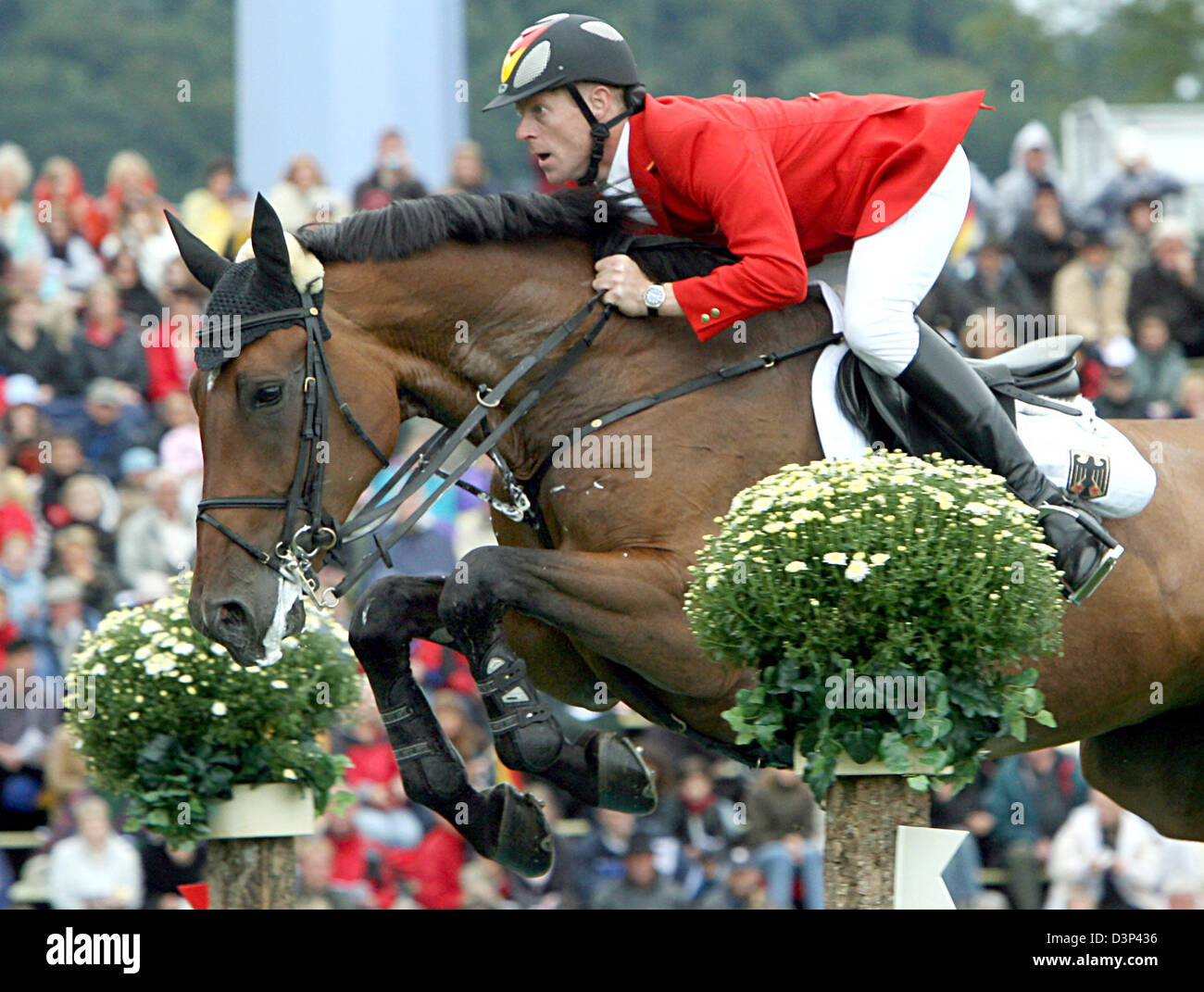 Deutsche Springreiter Marcus Ehning und sein Pferd "Noltes Kuechengirl" nehmen Sie ein Hindernis beim Springreiten Contest von der FEI World Equestrian Games in Aachen, Deutschland, Dienstag, 29. August 2006. Die FEI World Equestrian Games statt finden vom 20. August bis 3 September. Foto: Federico Gambarini Stockfoto