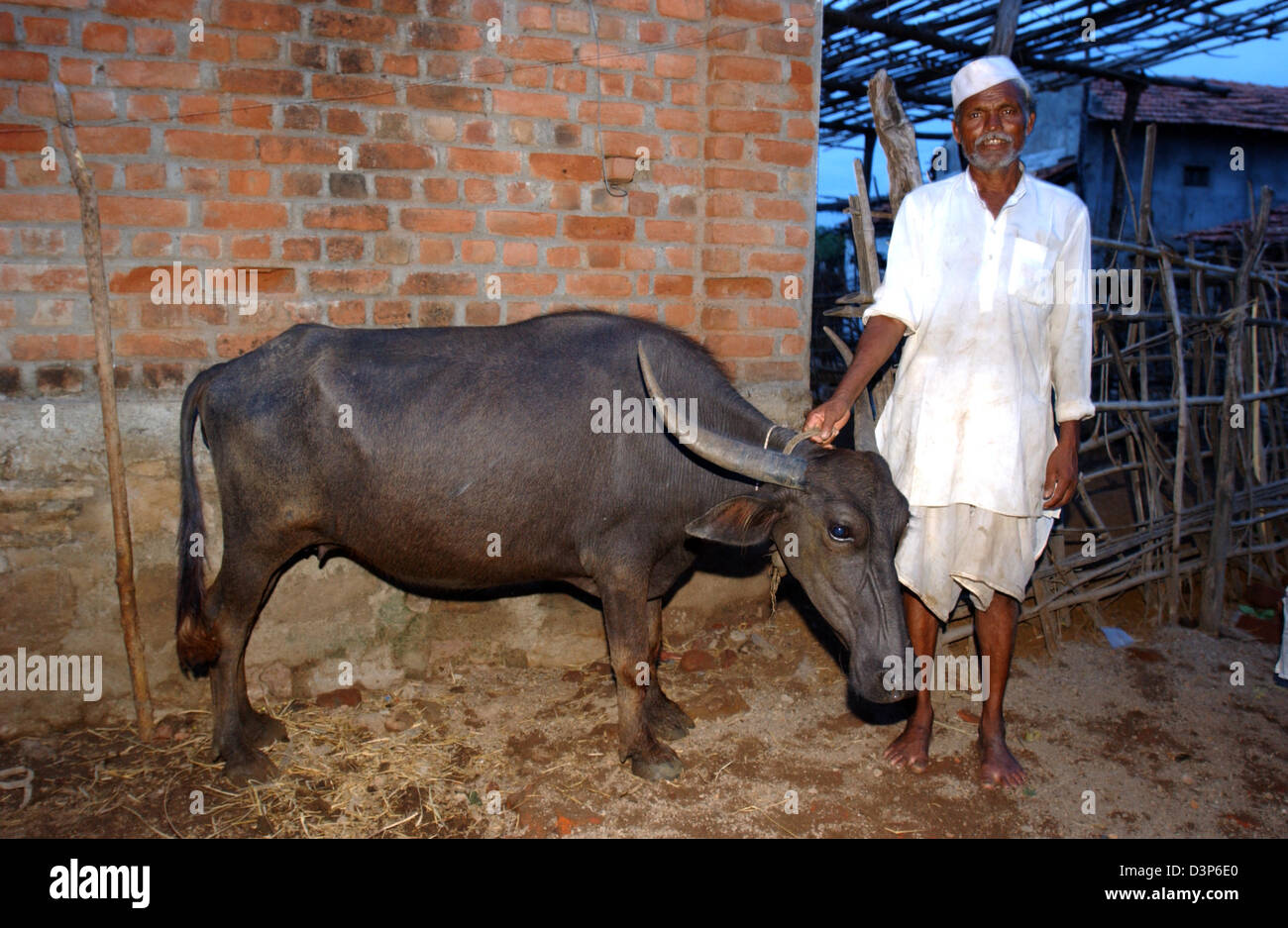(Dpa-Datei) - steht ein Bauer stolz neben seinen Wasserbüffel in einem abgelegenen Dorf Chandrapur in Indien, 2. Juli 2006. Foto: Wolfgang Langenstrassen Stockfoto
