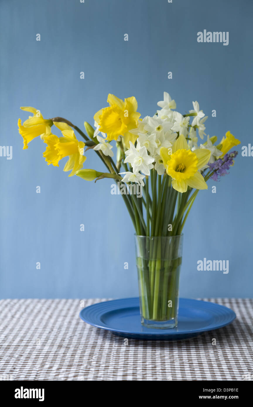 Fröhliche gemischte geschnittene Narzissen in einem Glas auf einen blauen Teller und karierte überprüfen Tischdecke Stockfoto