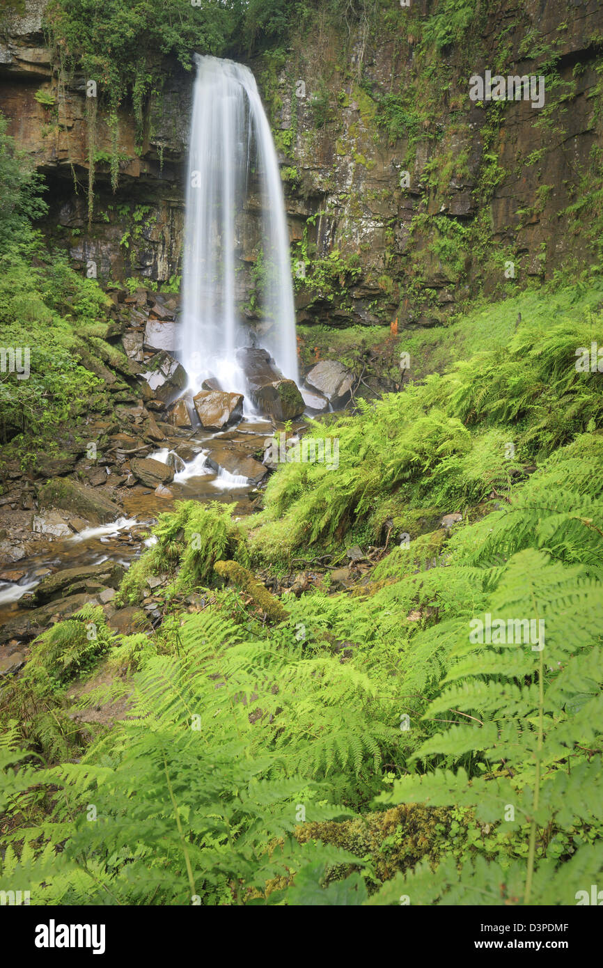 Melin Gericht (auch Melin Cwrt) Wasserfall Resolven Vale of Neath Neath & Port Talbot, South Wales UK Stockfoto