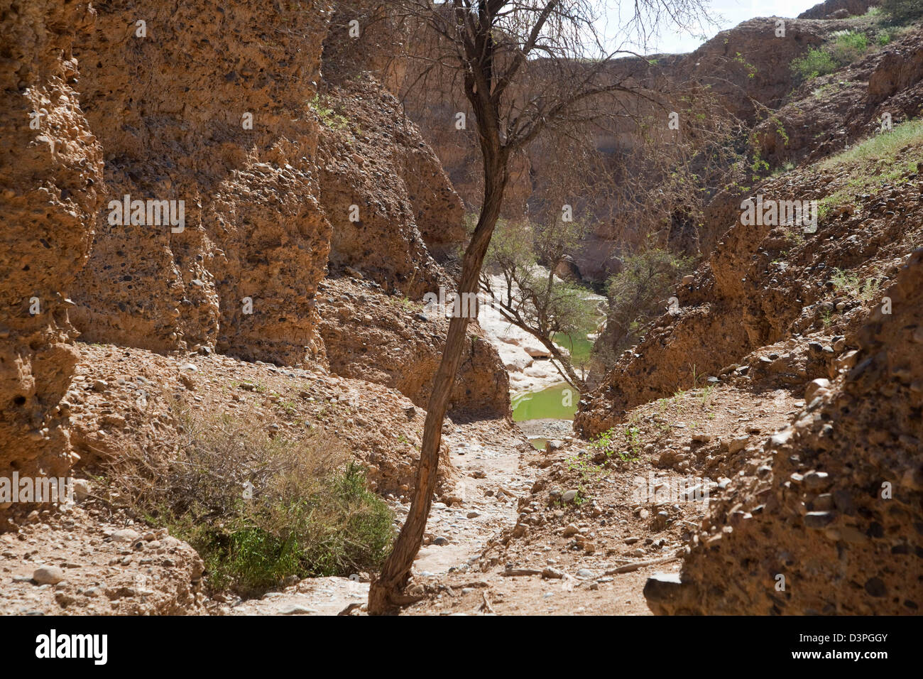 Sesriem Canyon geschnitzt von der Tsauchab Rivier in der Wüste Namib, Namib-Naukluft-Nationalpark, Namibia, Südafrika Stockfoto