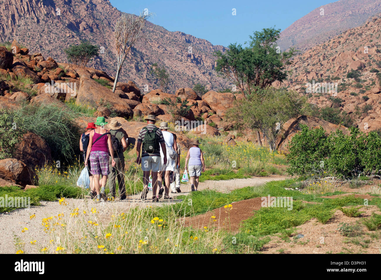 Ältere Touristen Ausflug Wandern entlang Trail am Brandberg Mountain, Damaraland, Namibia, Südafrika Stockfoto