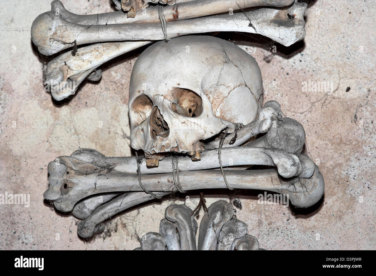 menschlicher Schädel - Sedlec Ossuary Stockfoto