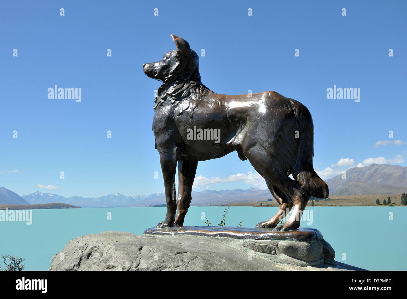 Bronze Collie am Lake Tekapo, beauftragt von Mackenzie Country Bewohnern in Anerkennung der unverzichtbaren Rolle des Schäferhundes in der Region Stockfoto