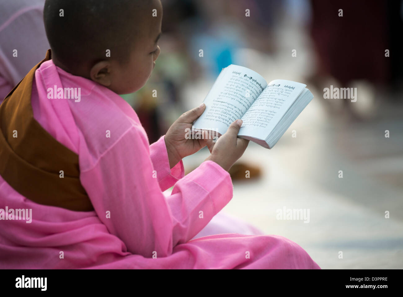 Eine junge Nonne singen aus einem Gebet-Buch zur Shwedagon Pagode Yangon Myanmar Stockfoto