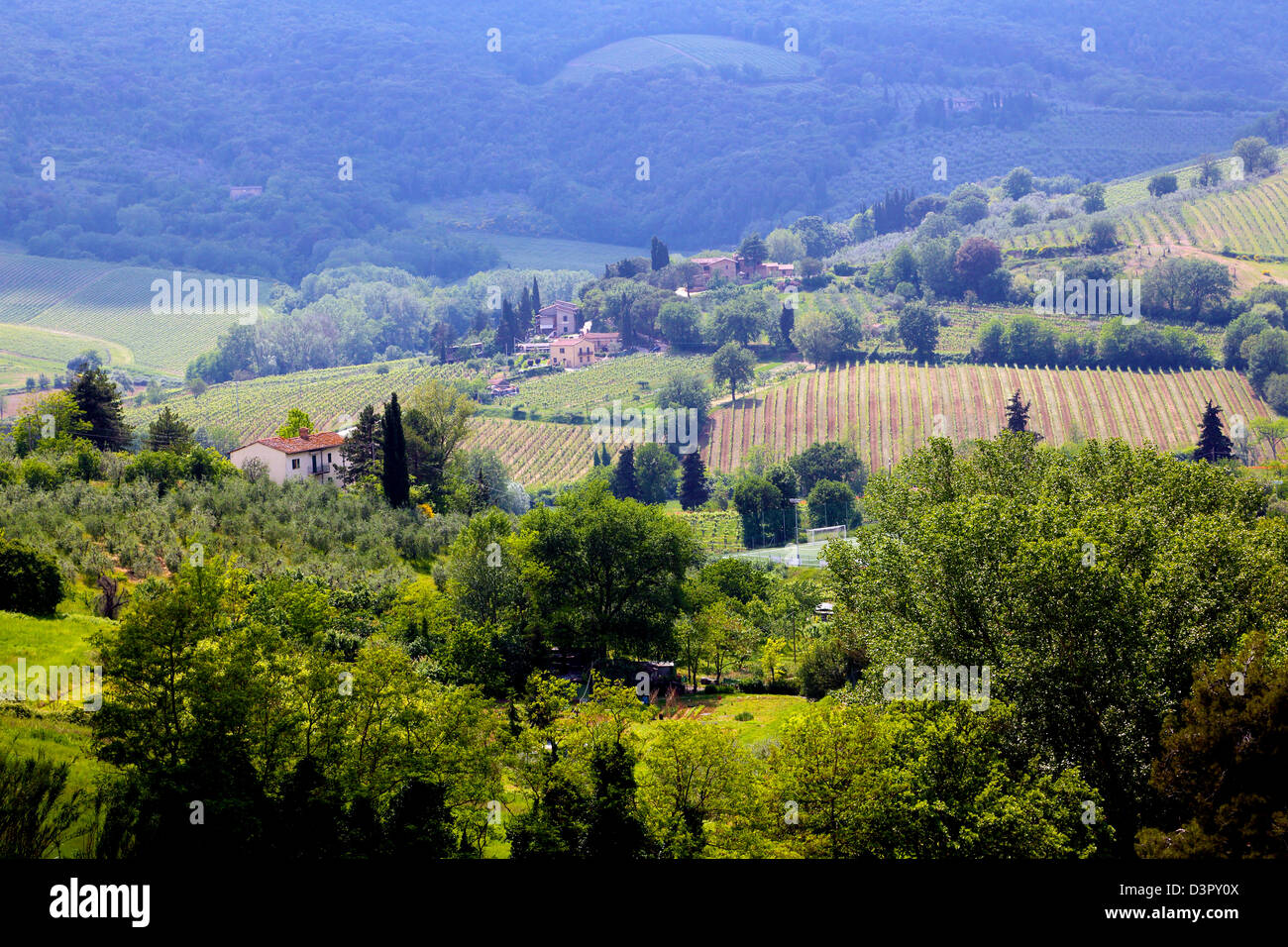 Ländliches Motiv von Weinbergen und sanften toskanischen Hügeln in der Nähe von San Gimignano in Italien Stockfoto