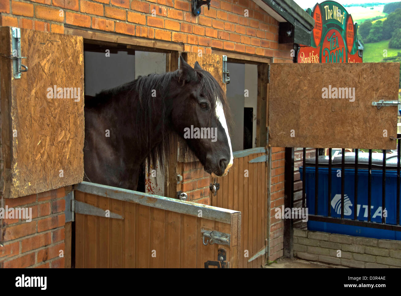 WALES; CLWYD; LLANGOLLEN; LLANGOLLEN WHARF; WELSH COB AM OBEREN TÜR ÖFFNEN VON STÄLLEN Stockfoto