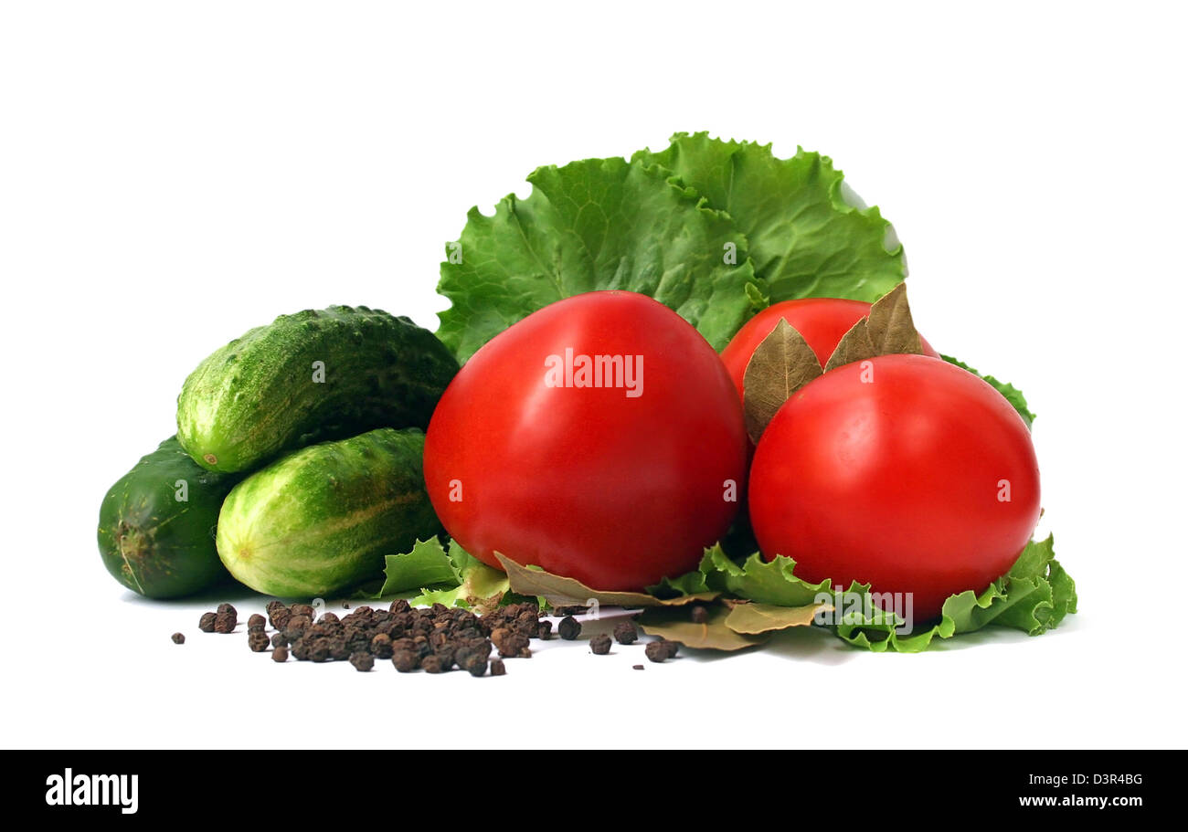 Frische Tomaten und Gurken Stillleben Stockfoto