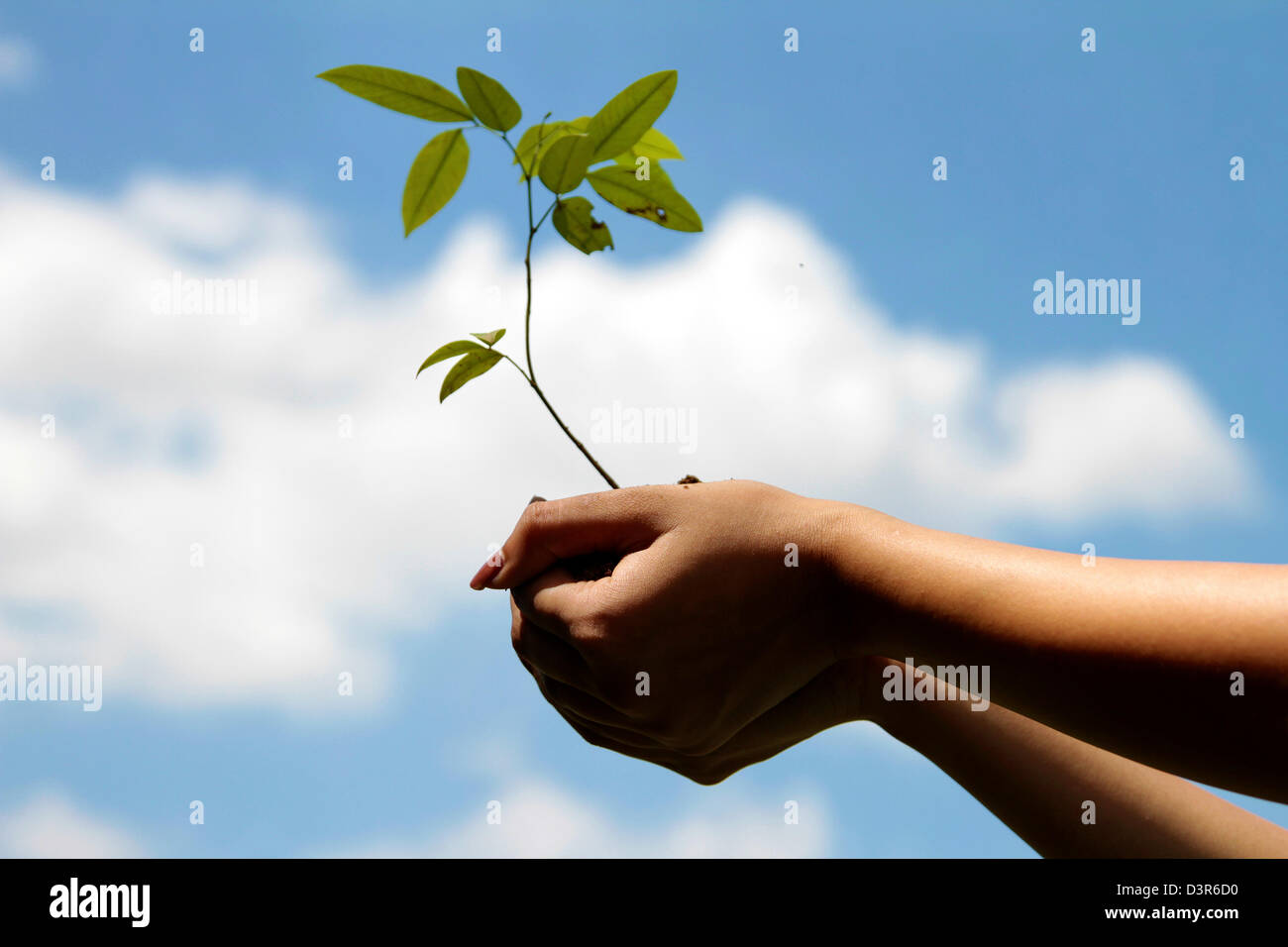 Erhaltung des Planeten Stockfoto