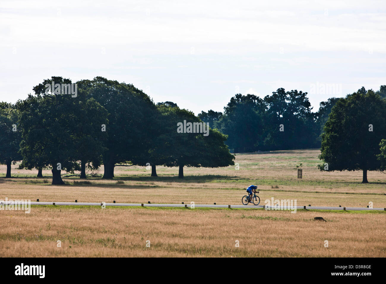 Radfahrer auf Olympischen Zyklus Weg, Richmond Park, London, England, UK Stockfoto