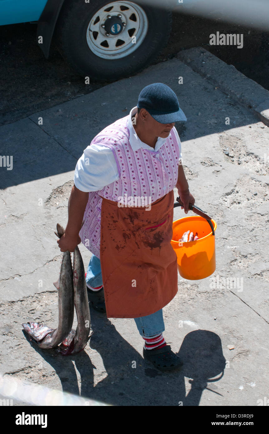 Dame mit Snoek für Filetieren in Kalk Bay, Südafrika Stockfoto