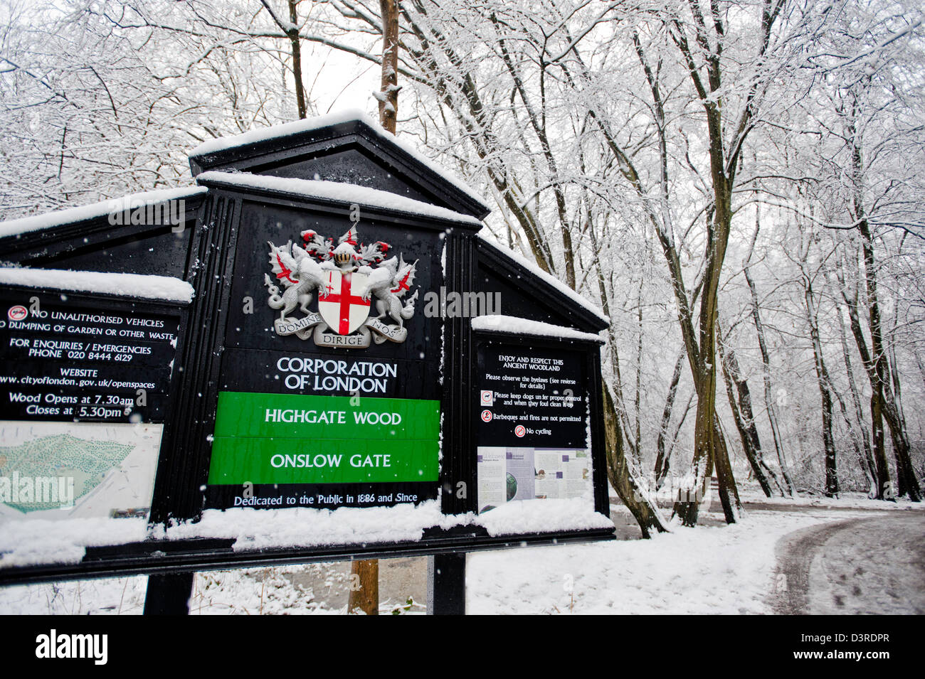 Highgate Wood bedeckt in Schnee, London, Vereinigtes Königreich Stockfoto