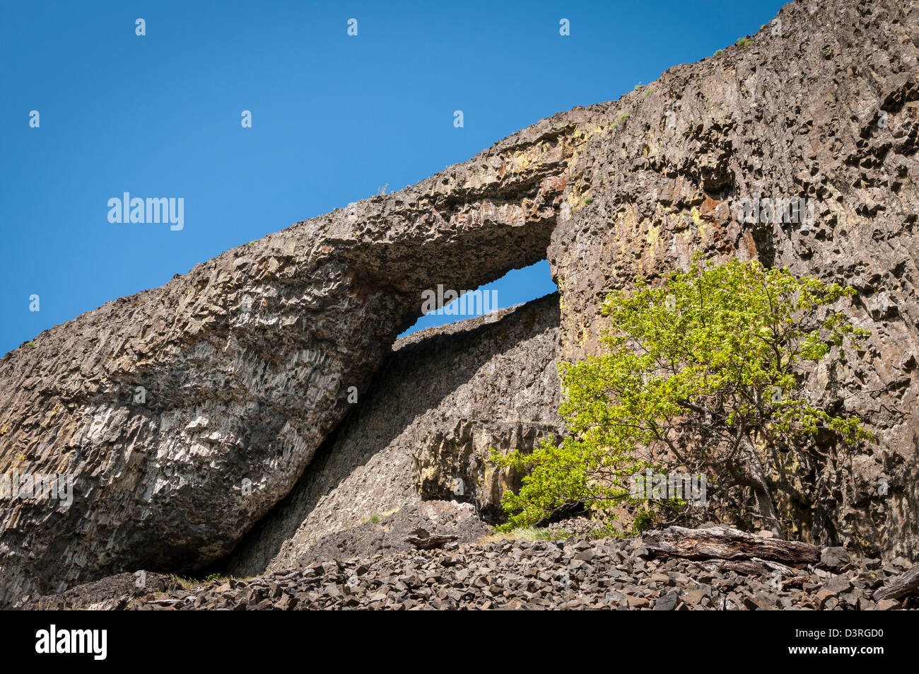 Rock Arch im Rimrock über Catherine Creek Trail, Columbia River Gorge, Washington. Stockfoto