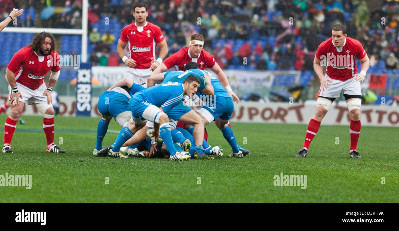 Rom, Italien. 23. Februar 2013. Six Nations Rugby. Italien Vs Wales Roma, Italien. Italienische Scrum halb Edoardo Gori ohnmächtig wird der ball Stockfoto