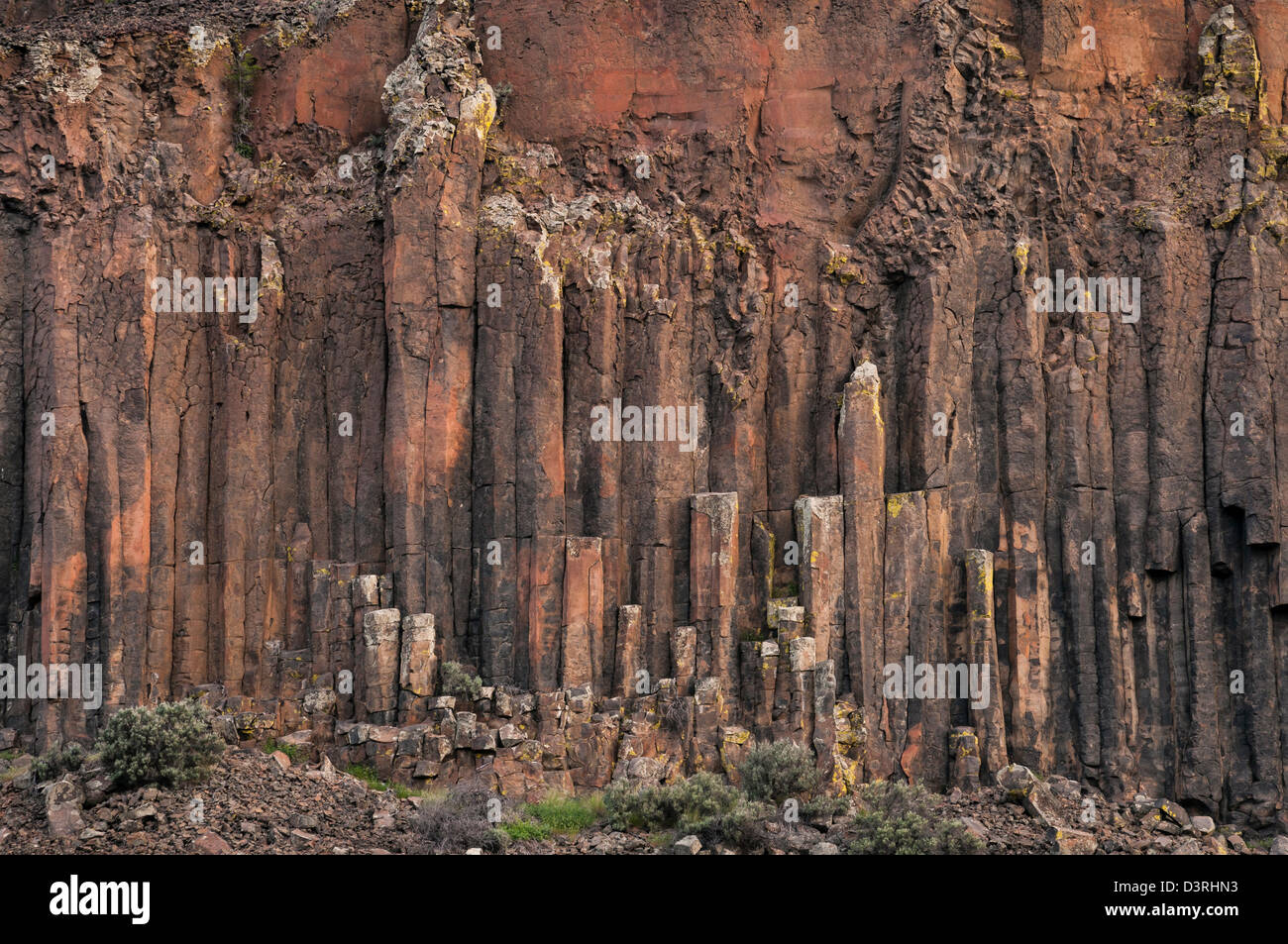 Säulenförmigen Basalt im Steamboat Rock State Park, eastern Washington. Stockfoto