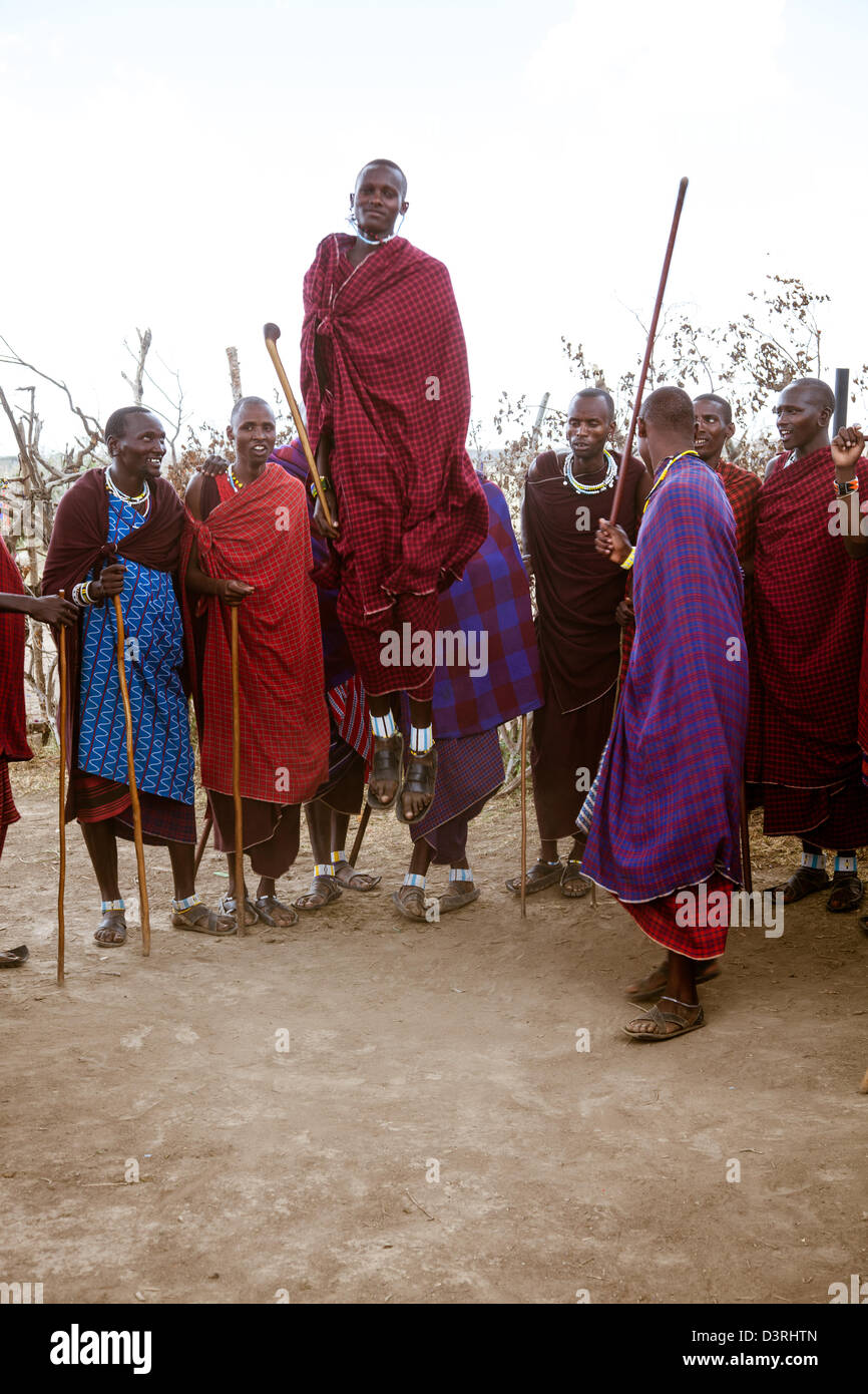 Ein Masai Krieger konkurriert in einem springenden Wettbewerb mit seinem Stamm beobachten. Stockfoto