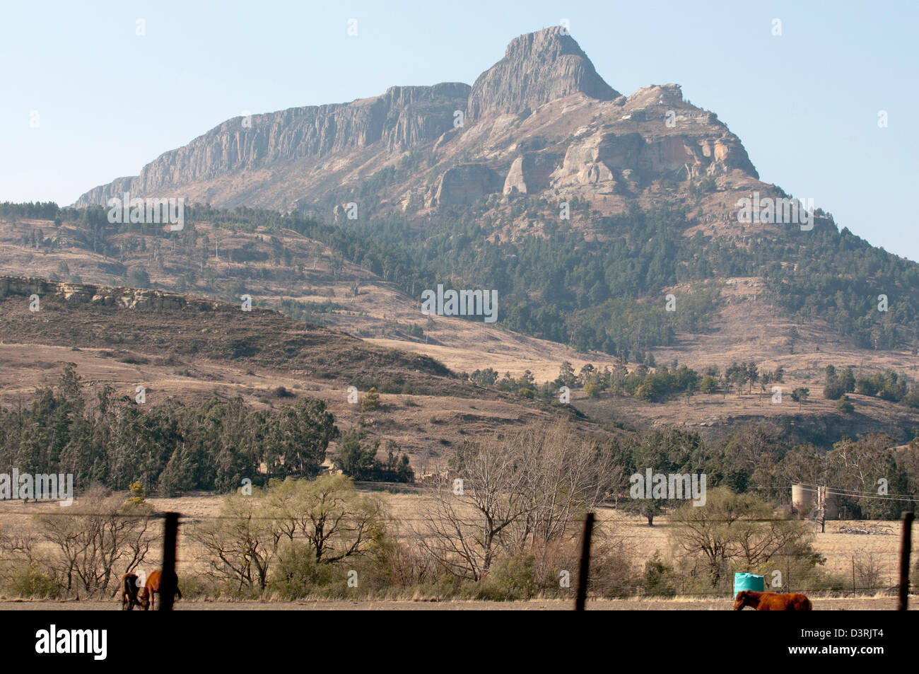 Drakensburg, Südafrika Stockfoto