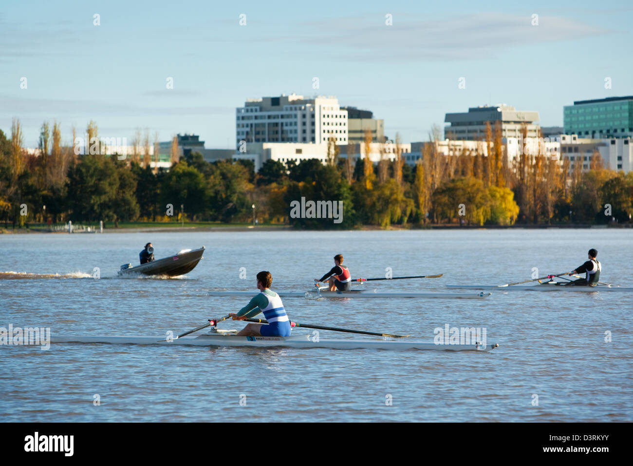 Am frühen Morgen Ruderer auf Lake Burley Griffin. Canberra, Australian Capital Territory (ACT), Australien Stockfoto