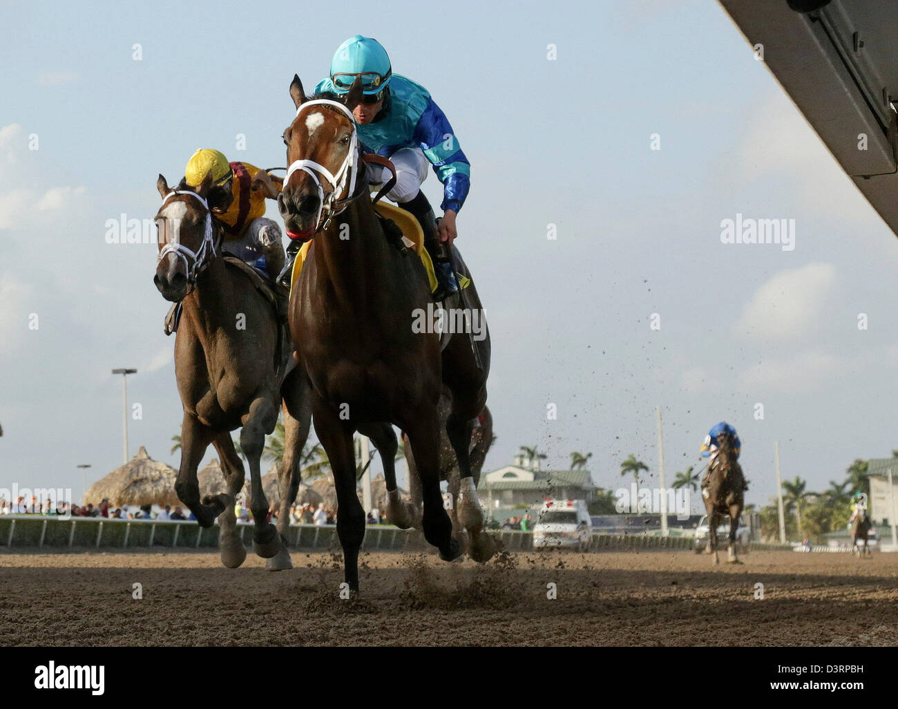 Lebendig, mit Jockey Joel Rosario, Leben Sie Oberflächen zuerst vor Lieblings träumen von Julia in die Davona Dale (Gr. II) in Gulfstream Park in Hallandale, Florida, am 23. Februar 2013. Foto von David Stephenson (Kredit-Bild: © David Stephenson/ZUMAPRESS.com) Stockfoto