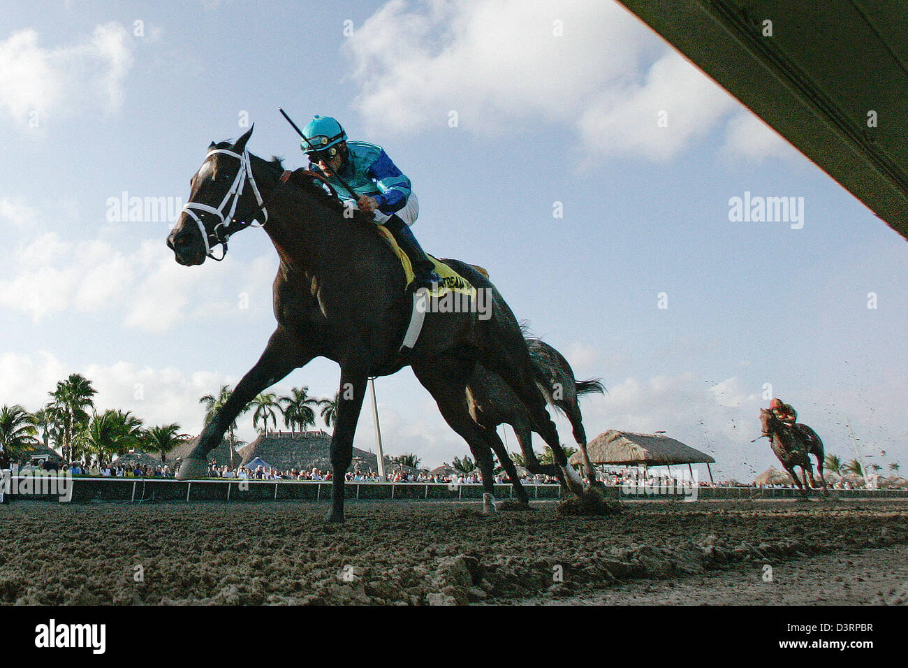 Lebendig, mit Jockey Joel Rosario, Leben Sie Oberflächen zuerst vor Lieblings träumen von Julia in die Davona Dale (Gr. II) in Gulfstream Park in Hallandale, Florida, am 23. Februar 2013. Foto von David Stephenson (Kredit-Bild: © David Stephenson/ZUMAPRESS.com) Stockfoto