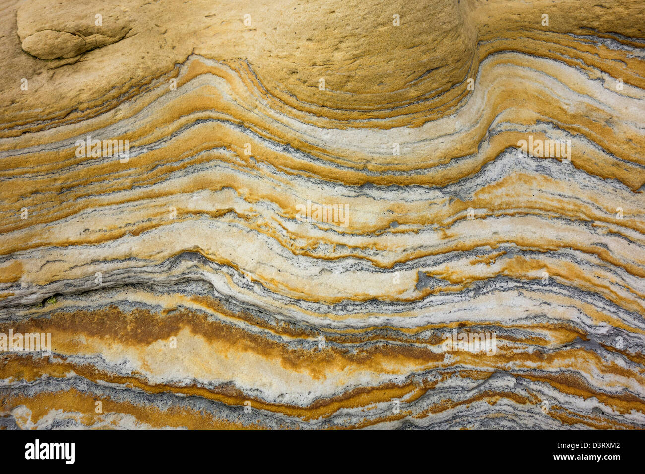 Nahaufnahme von Gesteinsschichten an der Cornelion Bucht, in der Nähe von Scarborough, North Yorkshire. Stockfoto