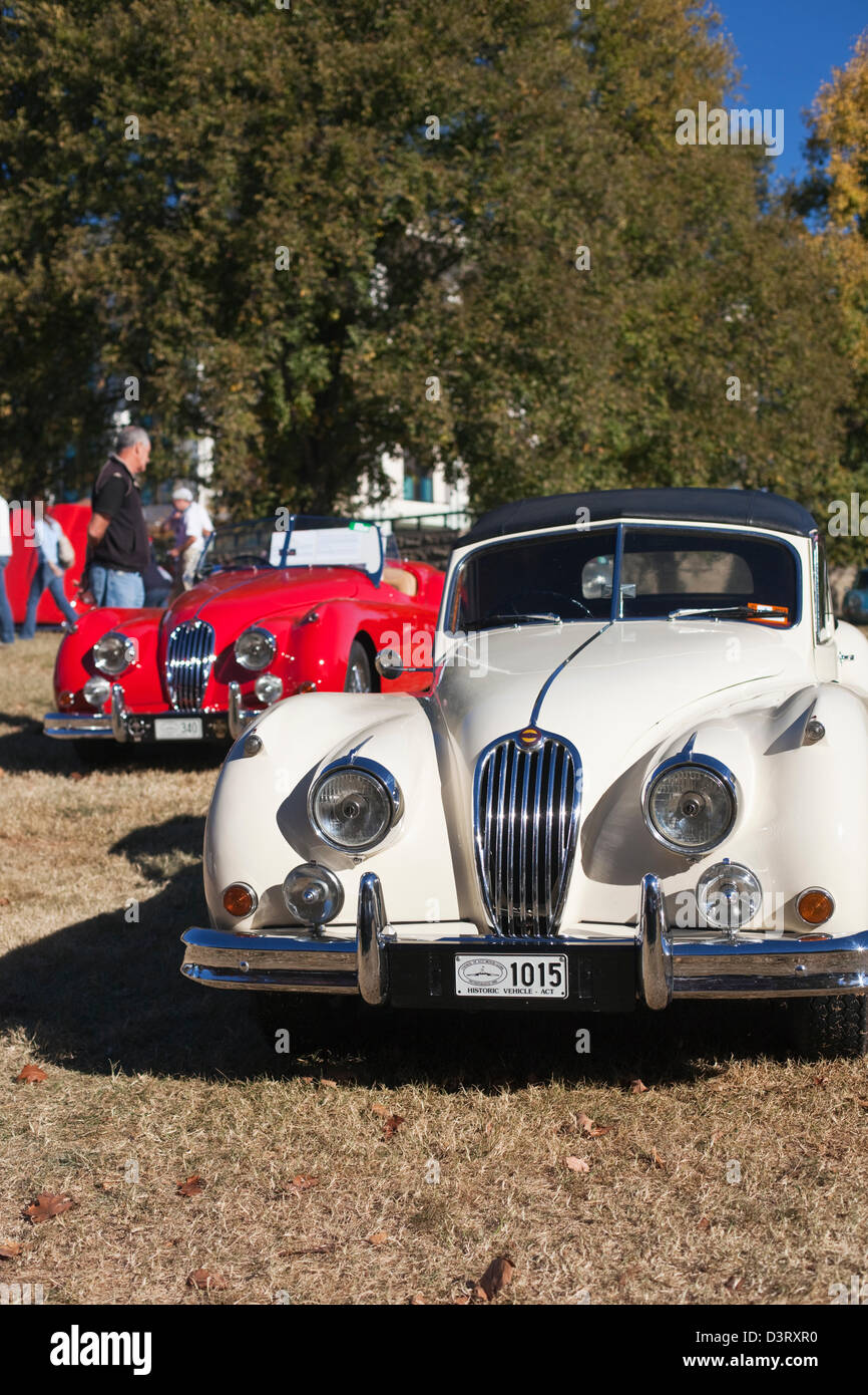 Oldtimer Jaguar-Auto-Rallye in Parkes. Canberra, Australian Capital Territory (ACT), Australien Stockfoto