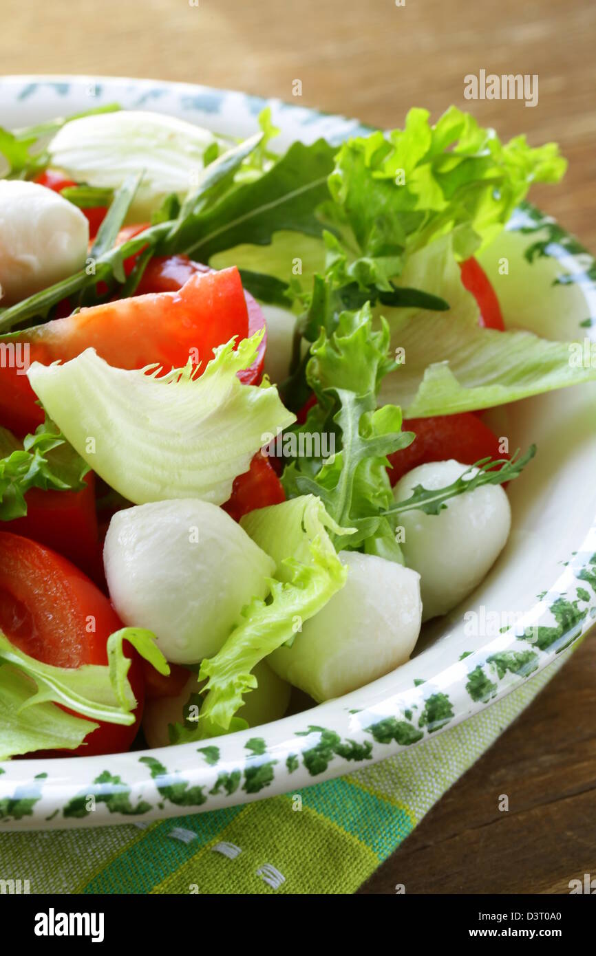 Salat mit Rucola, Tomaten und Mozzarella-Käse Stockfoto