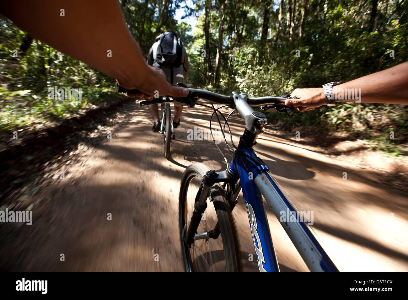 Mountainbiken im Harkville Wald, Südafrika, persönliche Perspektive Stockfoto