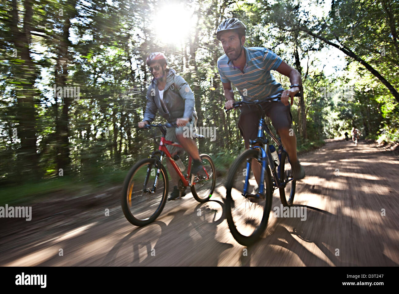Mountainbiken im Harkville Wald, Südafrika Stockfoto