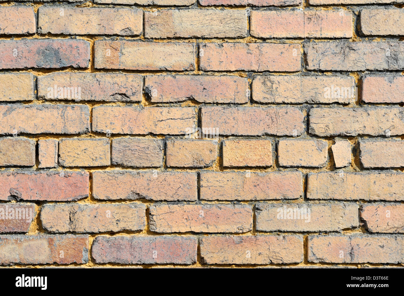 Gelbe Backstein nahe entwerfen für Hintergründe und Texturen, Element, alte und verwitterte mit Charakter. Stockfoto