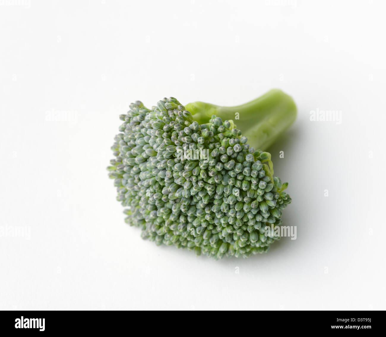 Brokkoli-Blümchen Stockfoto
