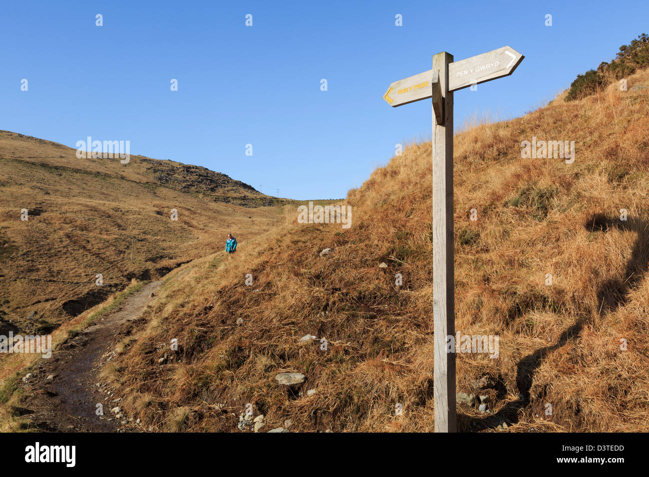 Wegweiser auf neue Fußweg an Pen-y-Pass von Pen-y-Gwryd in Snowdonia-Nationalpark, Gwynedd, Nordwales, UK, Großbritannien Stockfoto