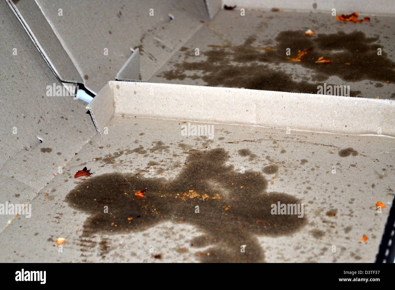 fettige Pizza-Schachtel Stockfoto