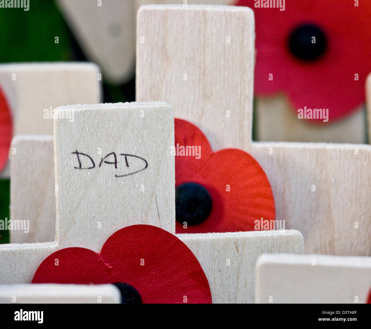 Close-up Erinnerung Waffenstillstand Mohn Tag kleines Holzkreuz mit "Papa" darauf geschrieben Stockfoto