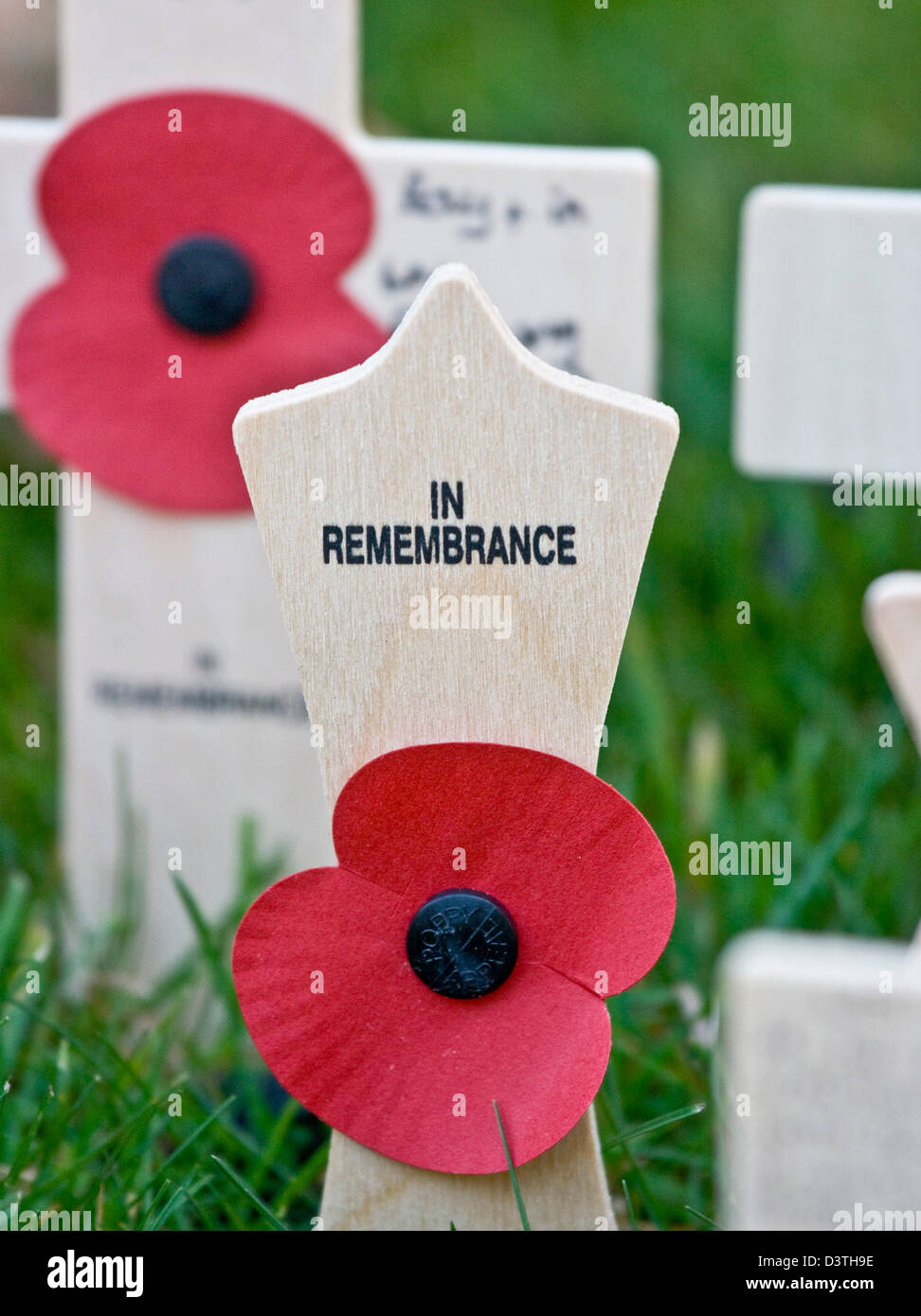 Gedenktag Waffenstillstand Mohn Kreuz Nahaufnahme Westminster Abbey London England Europa Stockfoto